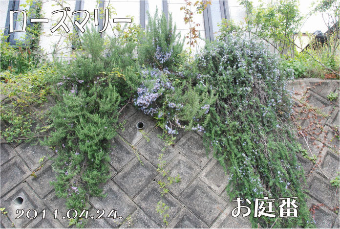 f:id:rotling:20110424224346g:image