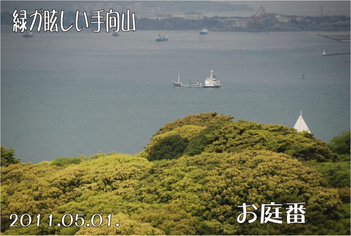 手向山の新緑