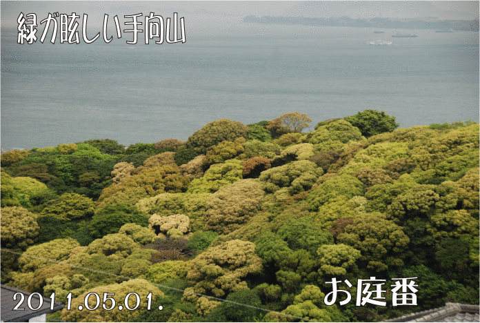 手向山の新緑