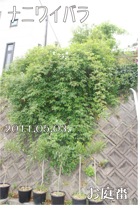 f:id:rotling:20110503095402j:image