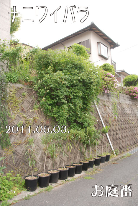 f:id:rotling:20110503095405j:image