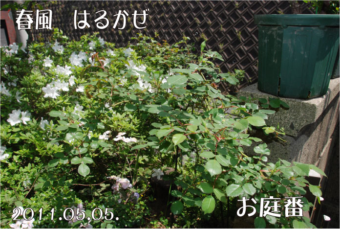 f:id:rotling:20110505132052j:image