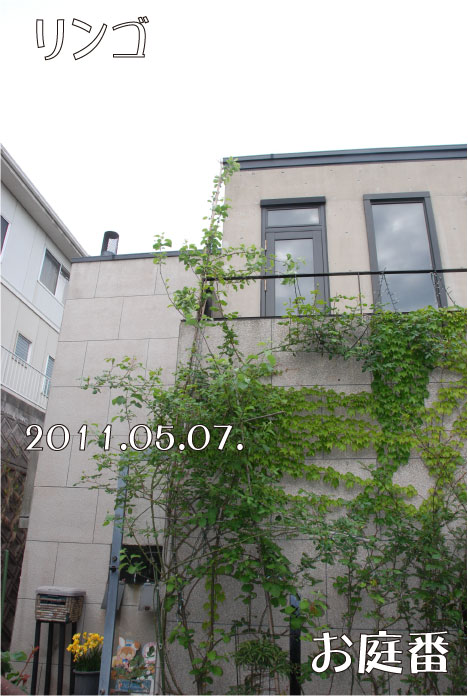 f:id:rotling:20110507112420j:image