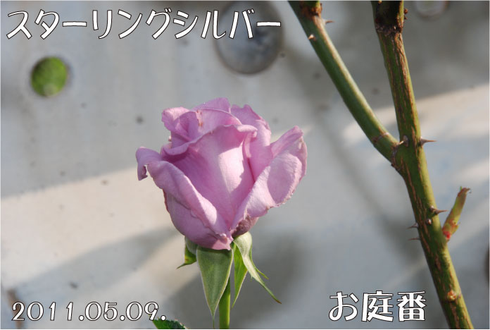 f:id:rotling:20110509075710j:image