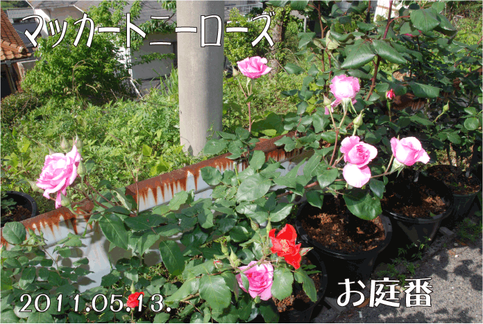 f:id:rotling:20110514001106g:image