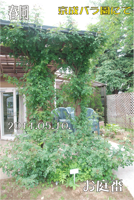 f:id:rotling:20110514120940g:image