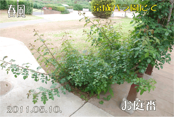 f:id:rotling:20110514120941g:image