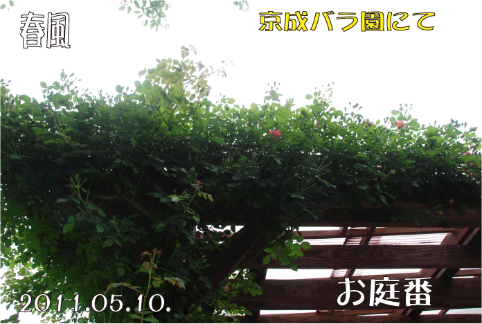 f:id:rotling:20110514120942g:image
