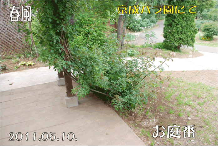 f:id:rotling:20110514120944g:image