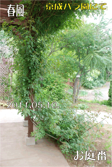 f:id:rotling:20110514120945g:image