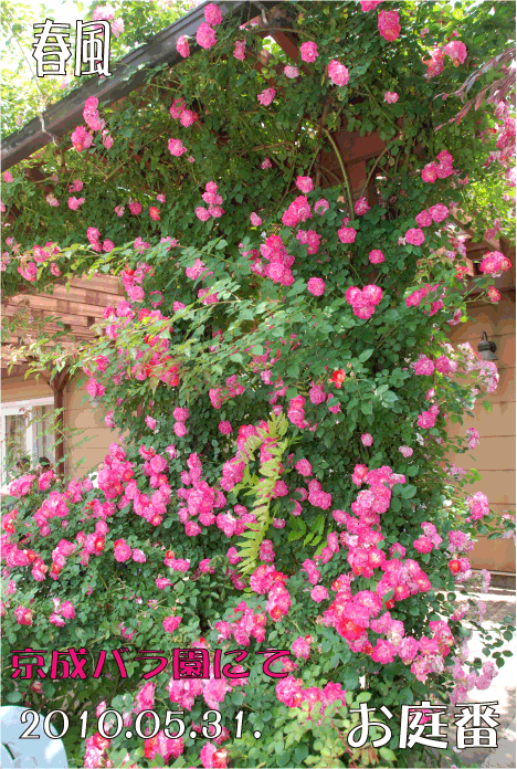 f:id:rotling:20110514154952g:image
