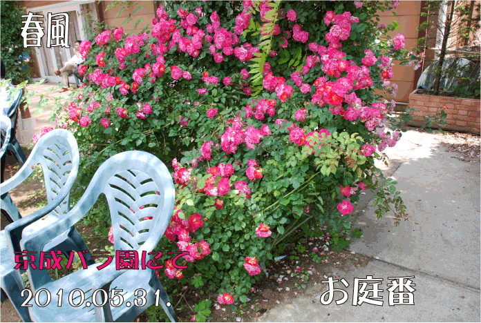 f:id:rotling:20110514154953g:image