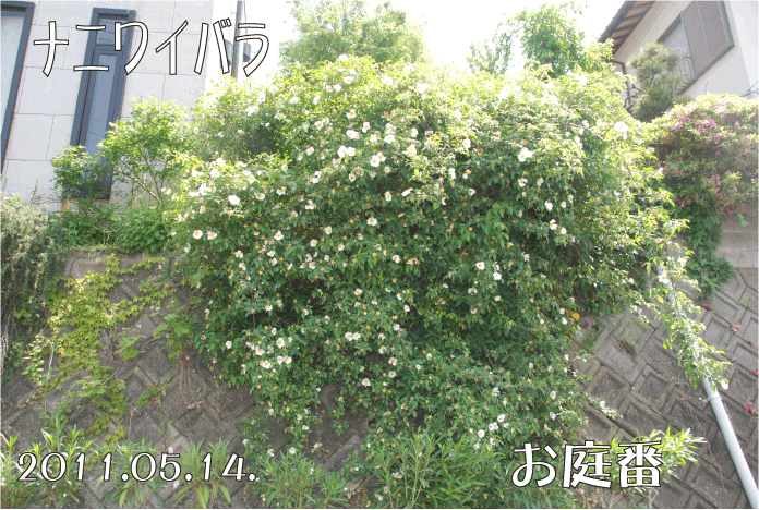 20110515001240