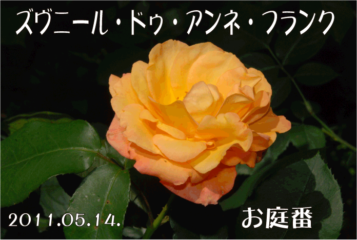 f:id:rotling:20110515001243g:image