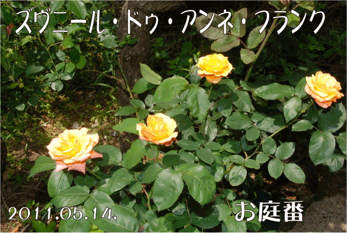 f:id:rotling:20110515001244g:image