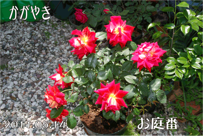 f:id:rotling:20110515001245g:image