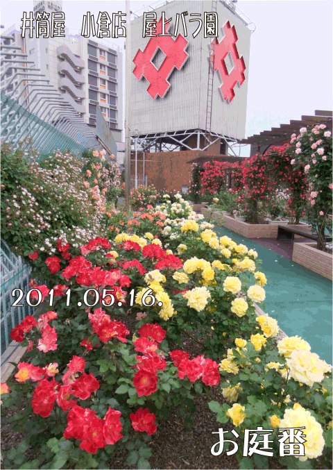 f:id:rotling:20110516203613g:image