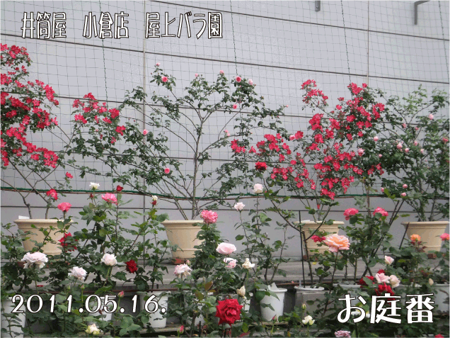 f:id:rotling:20110516203614g:image