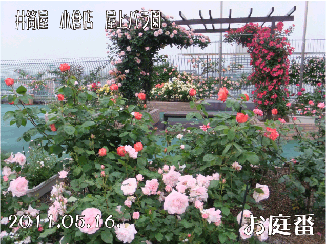 f:id:rotling:20110516203615g:image