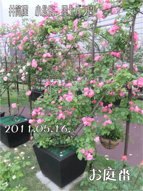 f:id:rotling:20110516203616g:image