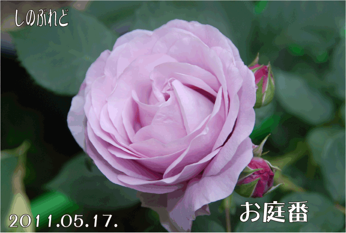 20110517101725