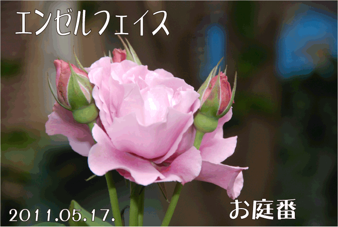 20110517101736