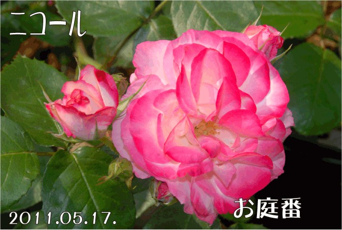 20110517101750