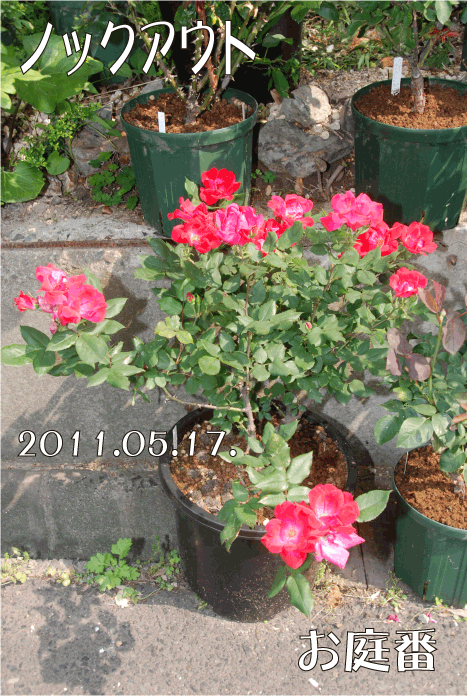 f:id:rotling:20110517101755g:image