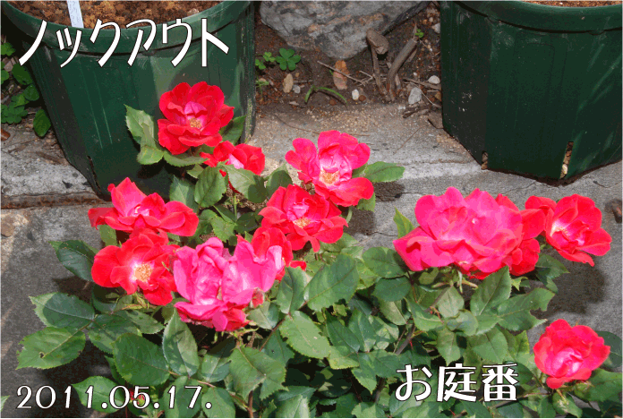 f:id:rotling:20110517101756g:image