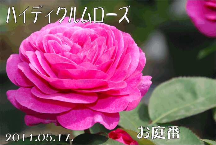 20110517101757