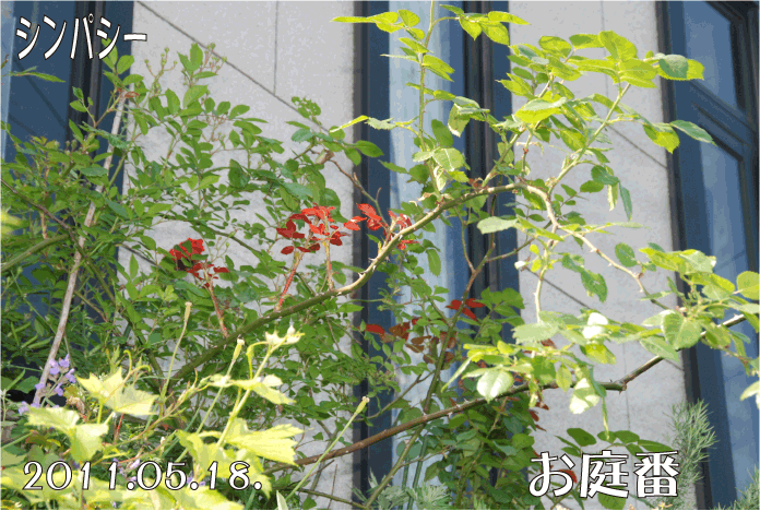 f:id:rotling:20110518230211g:image