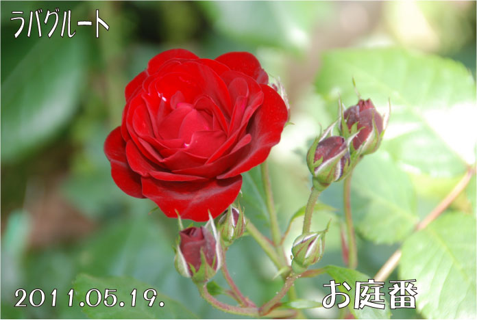 f:id:rotling:20110519185200j:image