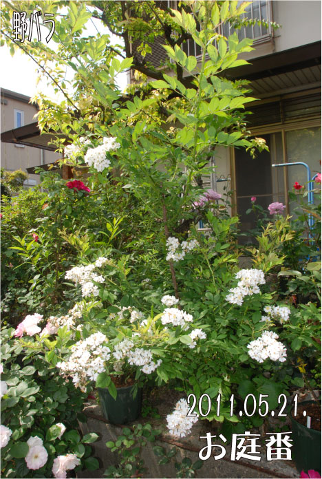 f:id:rotling:20110522101600j:image