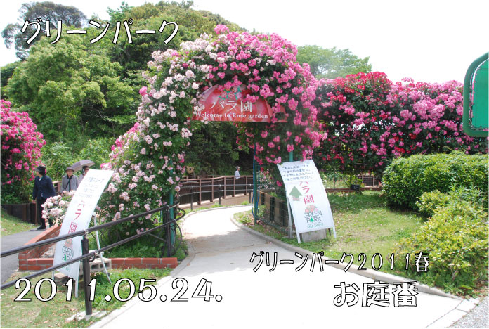f:id:rotling:20110524221347j:image