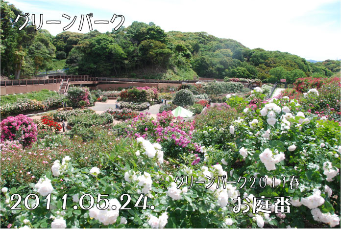 f:id:rotling:20110524221351j:image