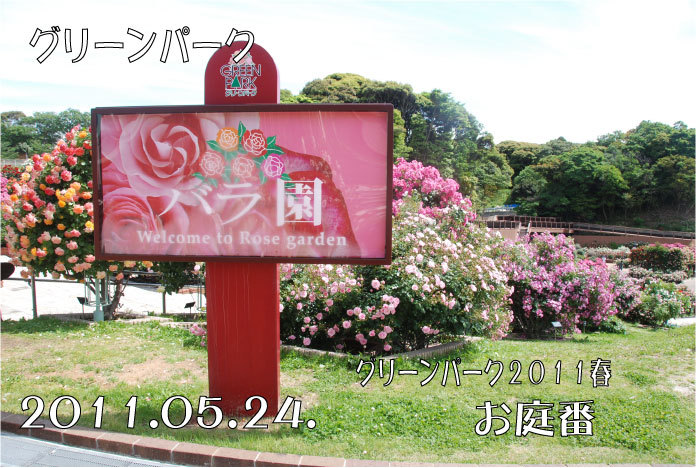 f:id:rotling:20110524221357j:image