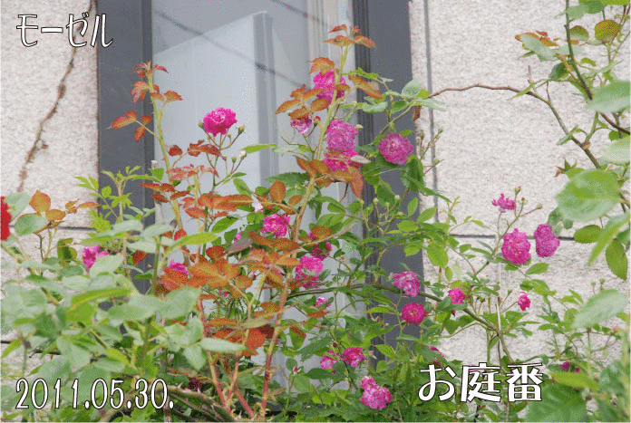 f:id:rotling:20110530231218g:image
