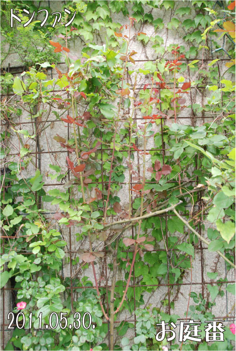 f:id:rotling:20110530231220j:image