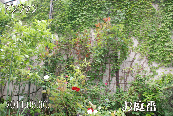 f:id:rotling:20110530231222j:image