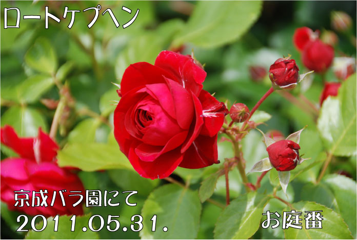 f:id:rotling:20110602234437j:image