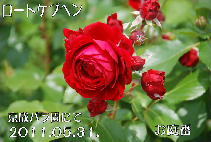 f:id:rotling:20110602234439j:image