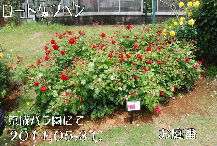 f:id:rotling:20110602234440j:image