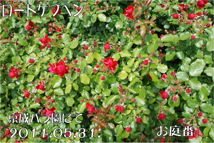 f:id:rotling:20110602234441j:image