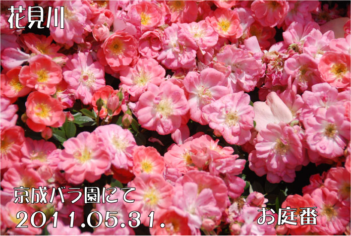 f:id:rotling:20110603122213j:image