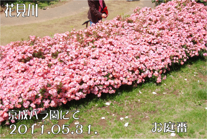 f:id:rotling:20110603122220j:image