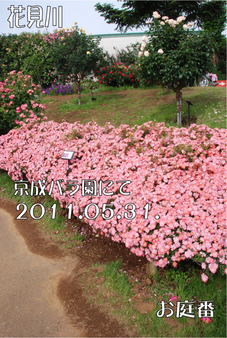 f:id:rotling:20110603122227j:image