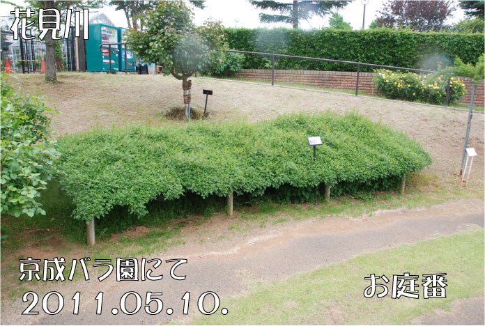 f:id:rotling:20110603122231j:image