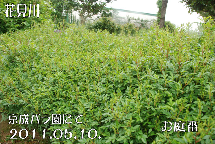 f:id:rotling:20110603122233j:image