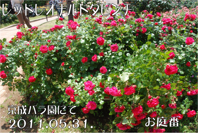 f:id:rotling:20110604005023j:image