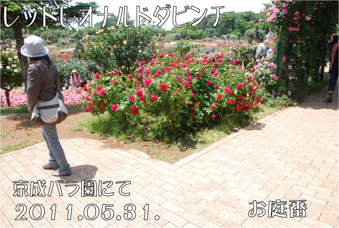 f:id:rotling:20110604005024j:image